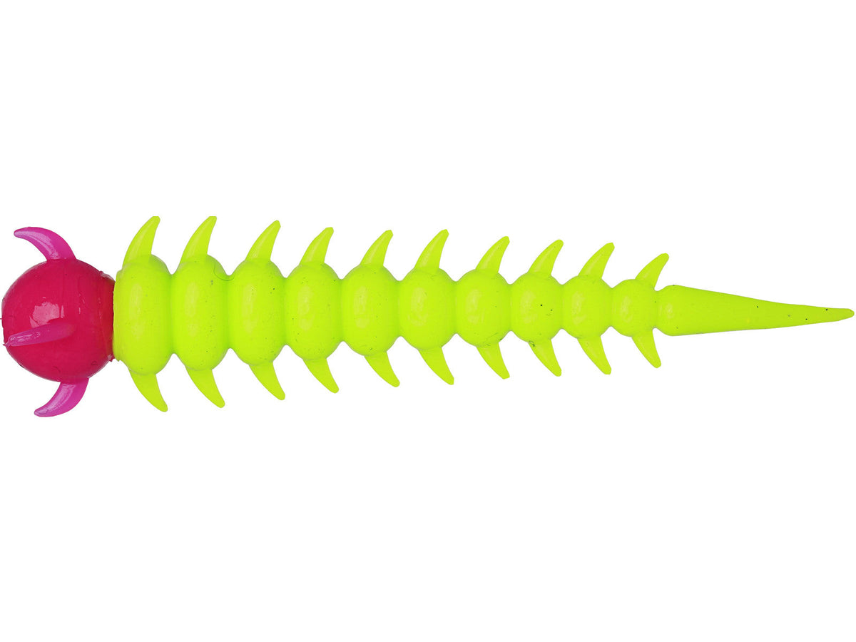 Greedywormcharteuasepink.jpg