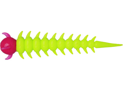 Greedywormcharteuasepink.jpg