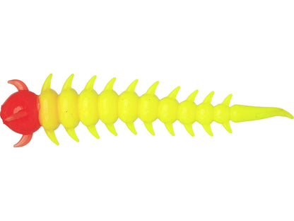 greedywormorangeyellow.jpg