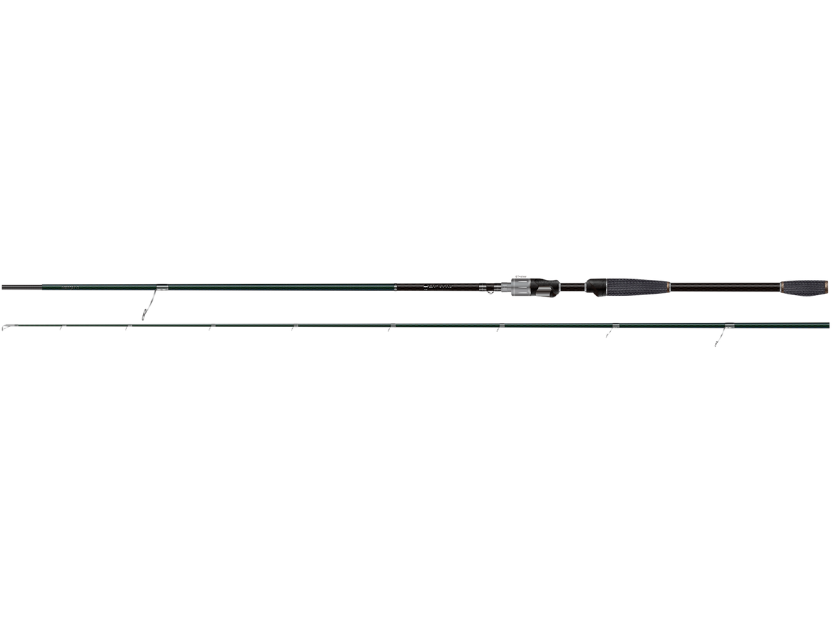 large_569b5ab5-ef5d-4197-a598-c9b3024ec64a.png