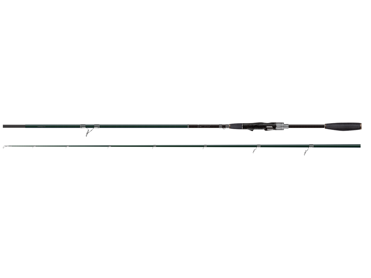 large_b11da792-9f60-4934-a25b-a2932b45910b.png
